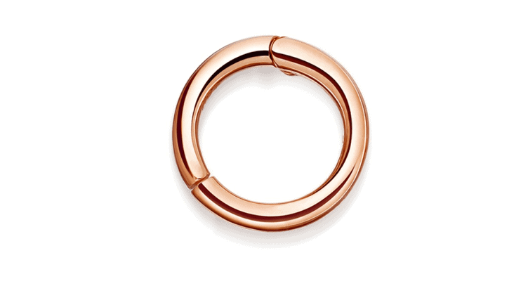 Tiny Single Cartilage Hoop Earring- Astley Clarke