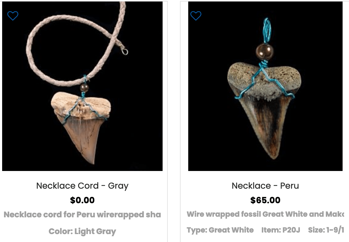 Buried Treasure Fossils- Shark Tooth Necklaces/ Pendants